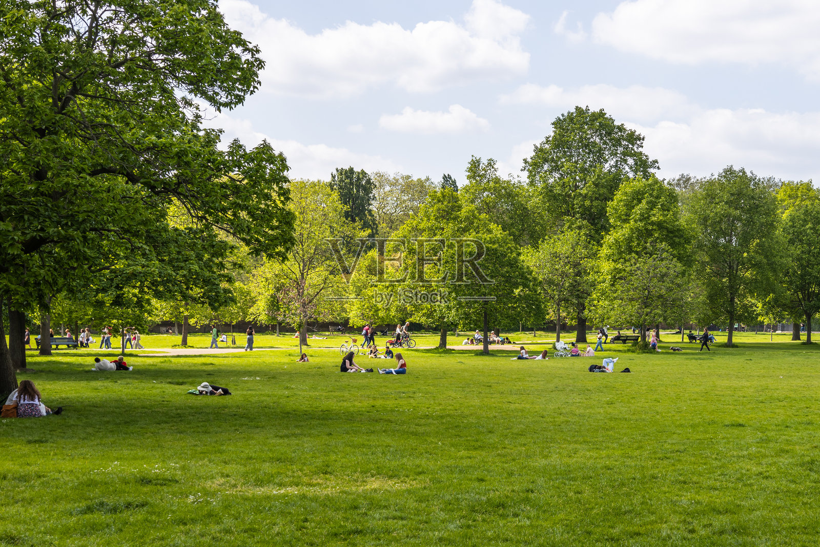 人们在公园里享受绿草和树木的放松日照片摄影图片