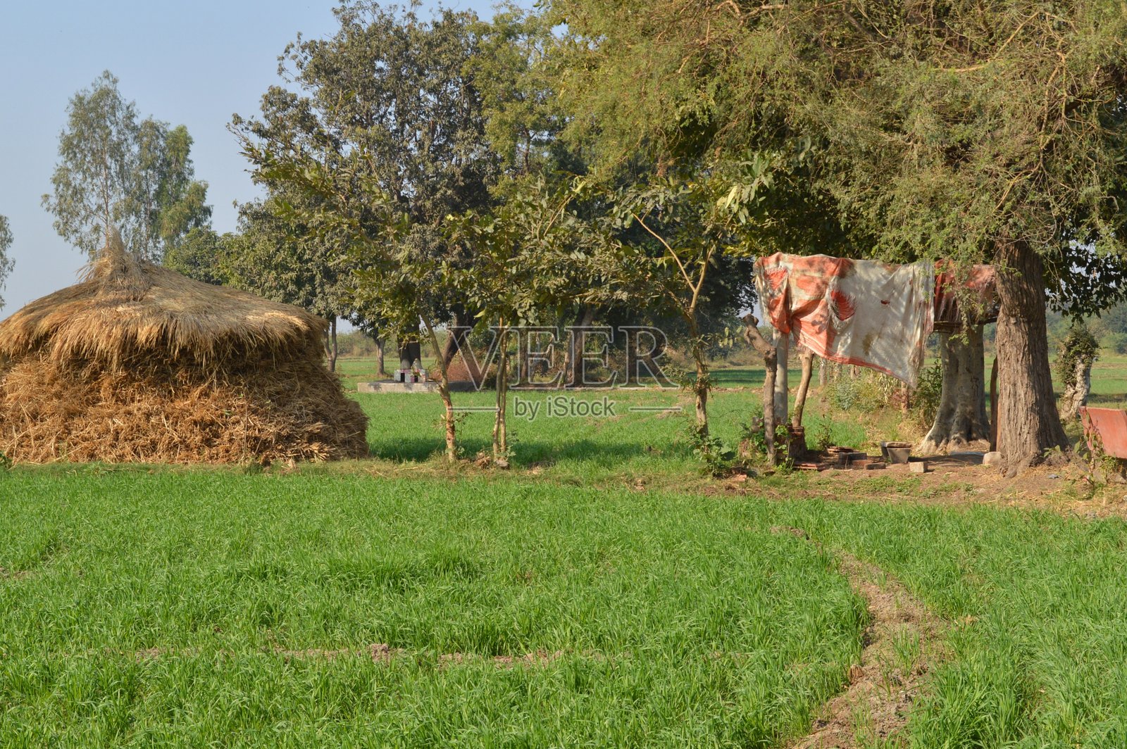 24农场N 23照片摄影图片