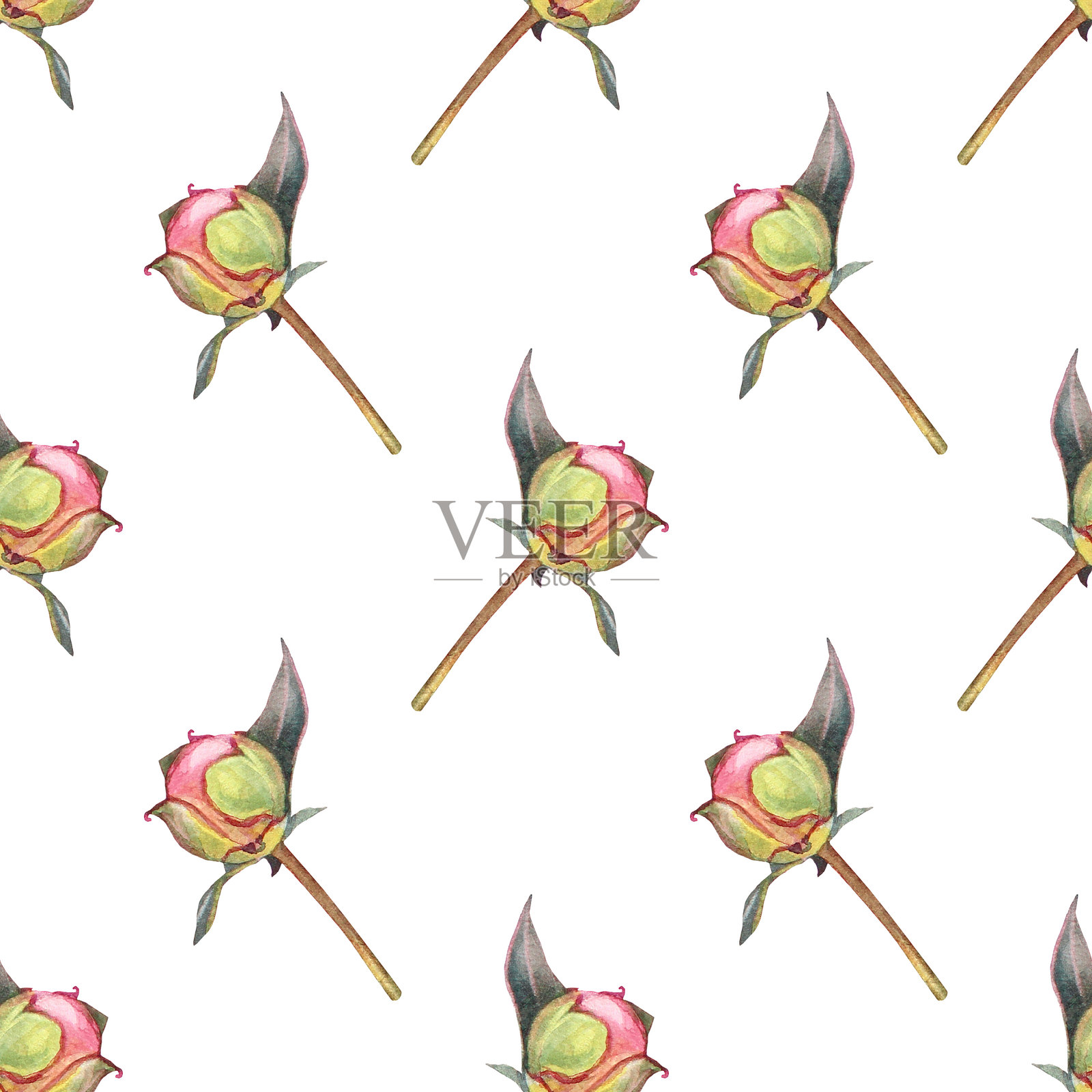 粉色牡丹花蕾的水彩无缝图案，背景为白色。手绘的花卉植物，配有绿色叶子。夏季春季花卉。适合花艺师或婚礼邀请庆祝卡片。壁纸或包装纸。插画图片素材