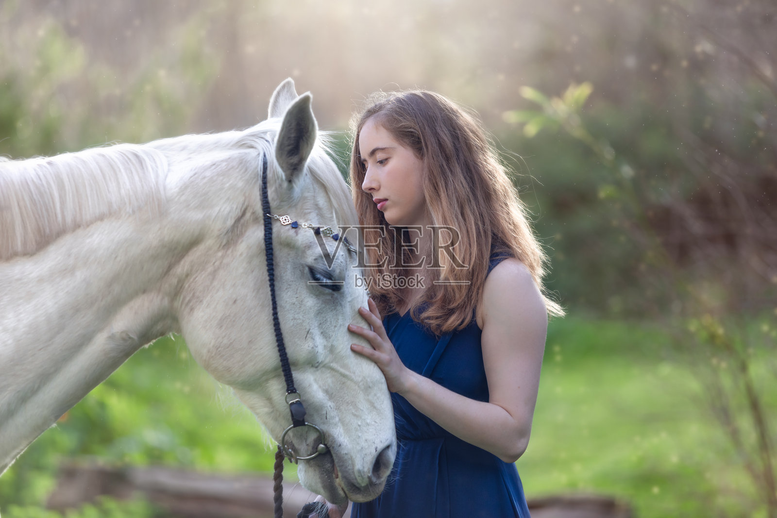 逆光下年轻女性与她的灰马亲密互动的肖像照片摄影图片