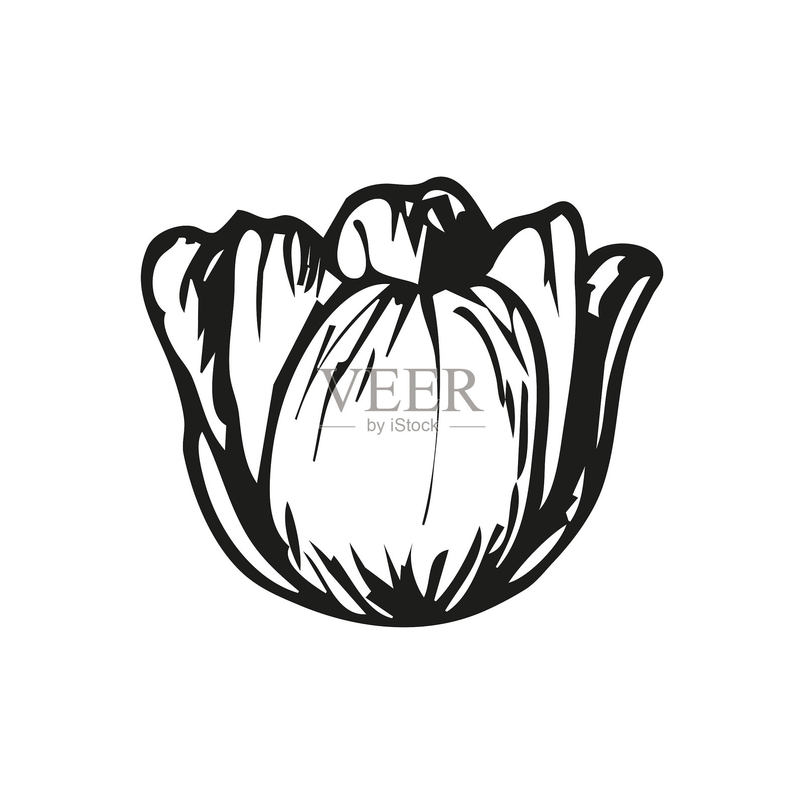 郁金香花卉植物素描轮廓插图。春季郁金香花的涂鸦绘画，采用雕刻风格。手绘矢量线条艺术剪贴画。插画图片素材