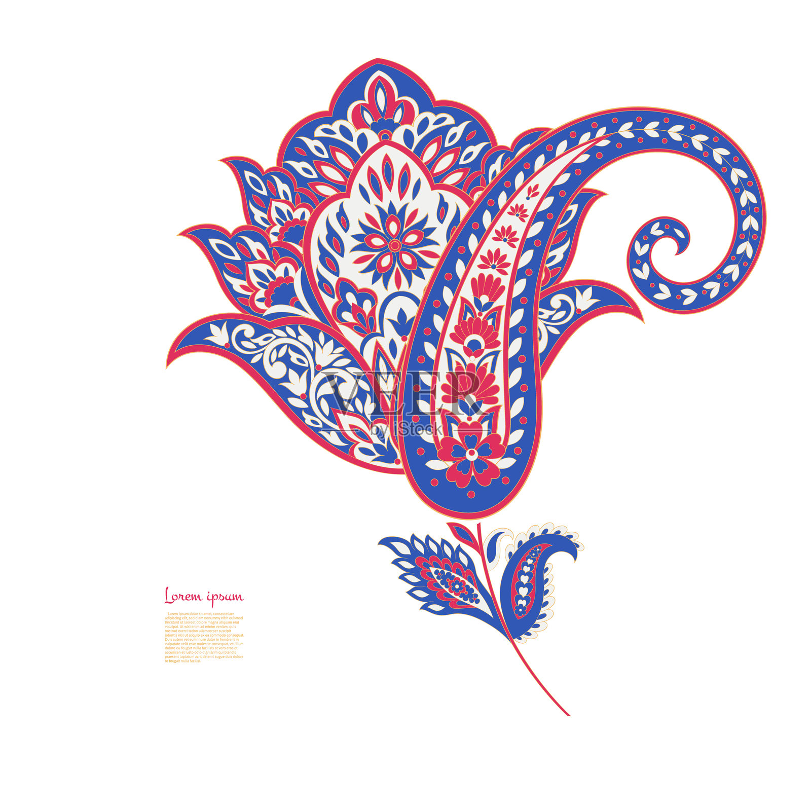 孤立的佩斯利图案。用于设计的孤立佩斯利卡片。花卉矢量图案。刺绣花卉矢量图案。插画图片素材