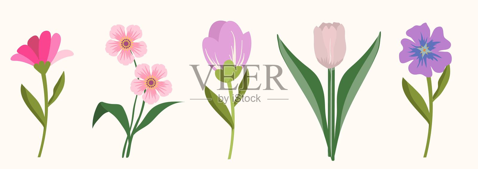 柔和的春季花卉和植物设计的精致花卉套装。插画图片素材