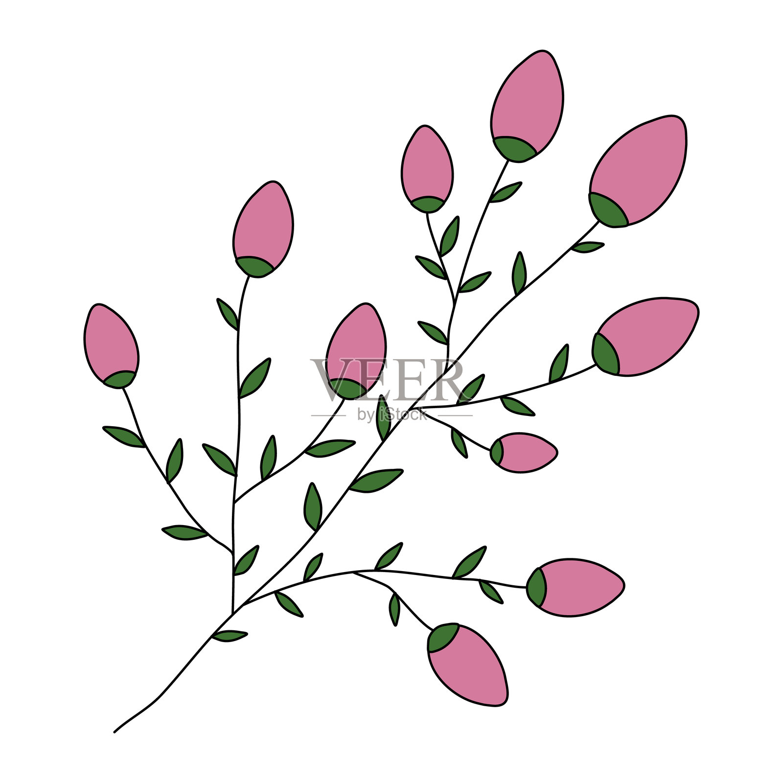 优雅绽放的精致粉色小玫瑰花枝，矢量插图插画图片素材