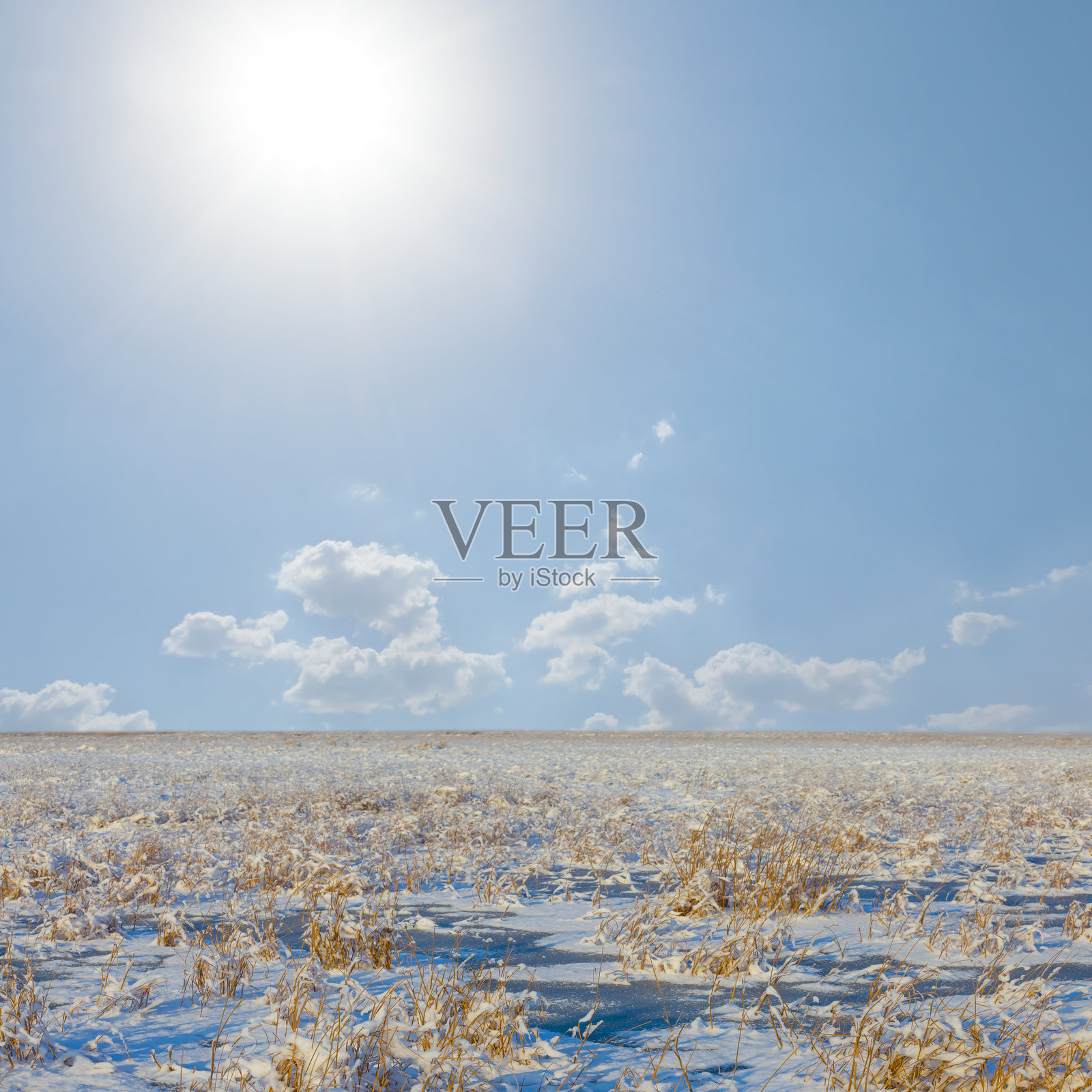 阳光明媚的冬日，广阔的草原被雪覆盖照片摄影图片
