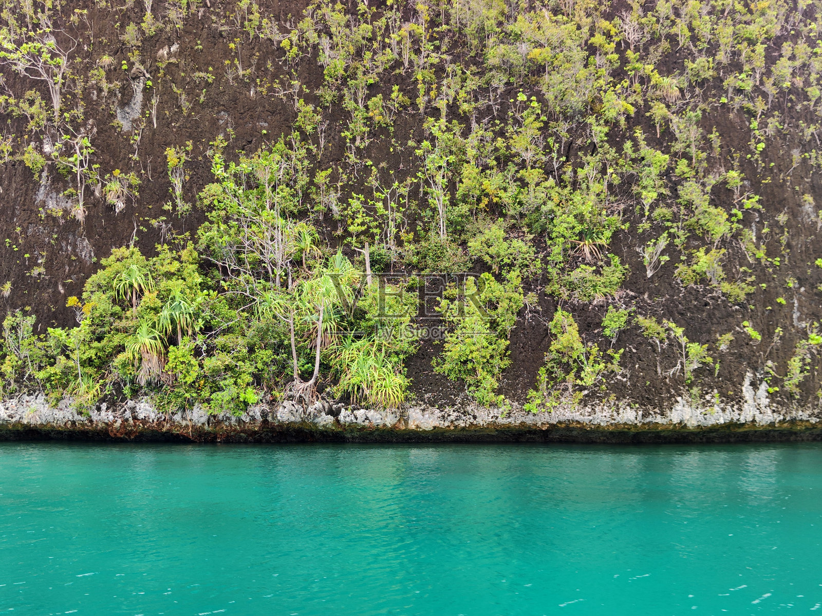 印尼拉贾安帕特的瓦亚格泻湖中的石灰岩小岛照片摄影图片