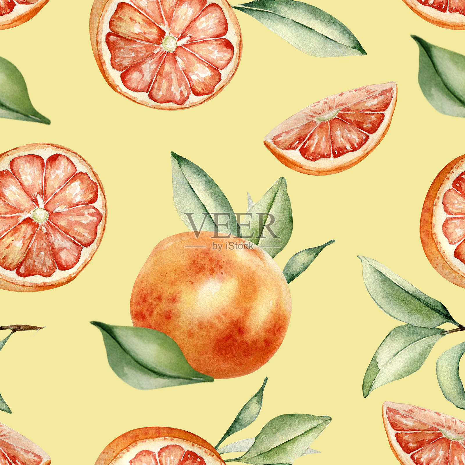 红色橙子、叶子水彩无缝背景，独立设计。柑橘夏季纺织图案。整颗和半颗葡萄柚及手绘叶子。多汁水果的新鲜质感，采用植物风格绘制。插画图片素材