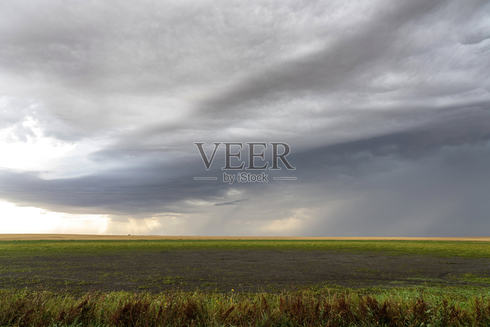 乌云密布，笼罩着农田照片摄影图片