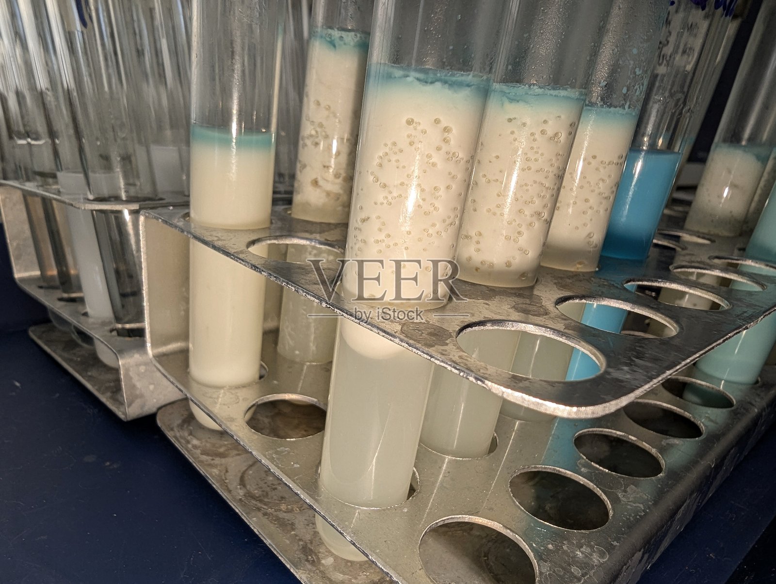 乳样品的美蓝还原测试照片摄影图片