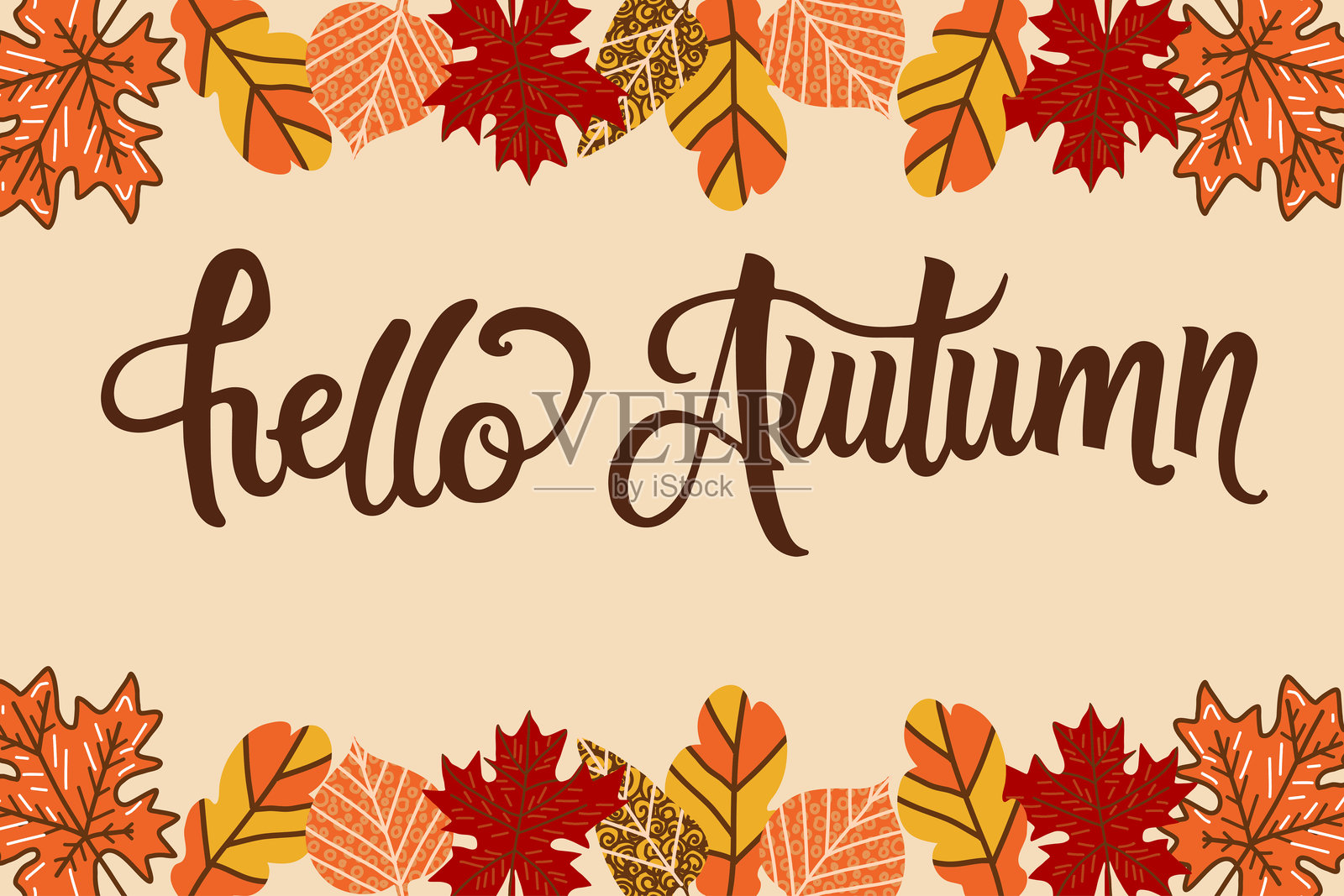 你好，秋天的矢量插图，手写字母和秋天的落叶。插画图片素材