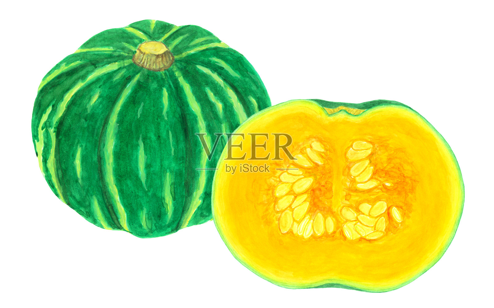 这是我用水彩画的模拟插图。插画图片素材