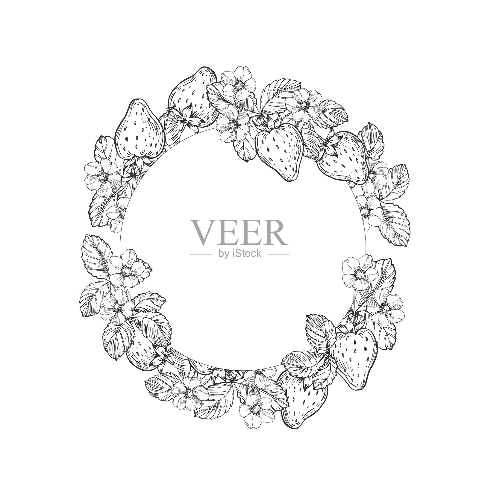 手绘黑白草莓矢量框架，使用墨水绘制。背景为白色，包含草莓的叶子、浆果和花朵。标签设计模板。插画图片素材