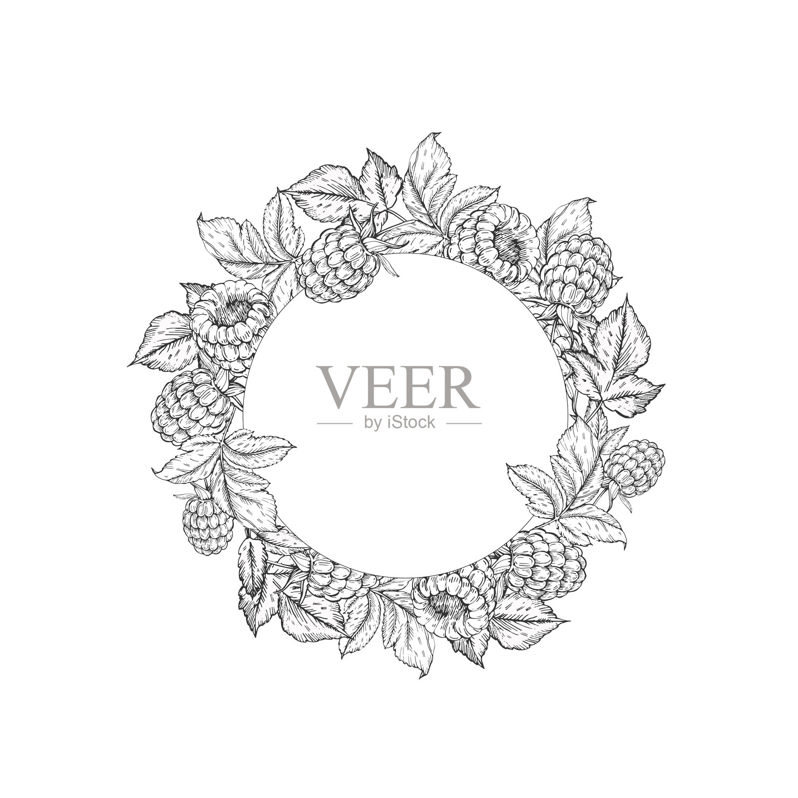 手绘黑白覆盆子花环矢量图，使用墨水绘制。背景为白色，框架中有叶子和覆盆子果实。标签设计模板。插画图片素材