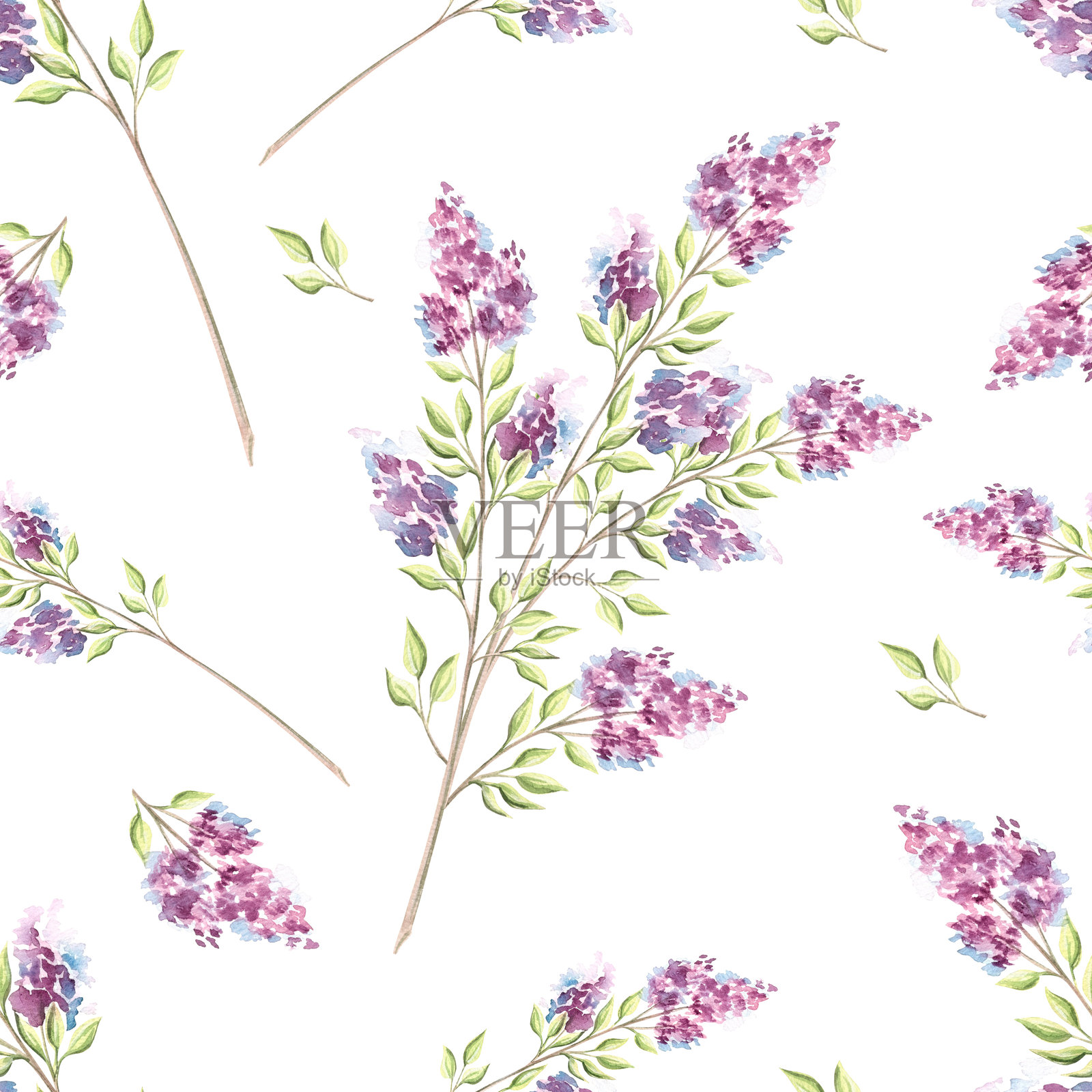 丁香花枝与叶子。植物无缝图案。手绘水彩插图，独立展示。紫丁香盛开。夏季背景。紫色花卉印花。壁纸和纺织品的模板。插画图片素材