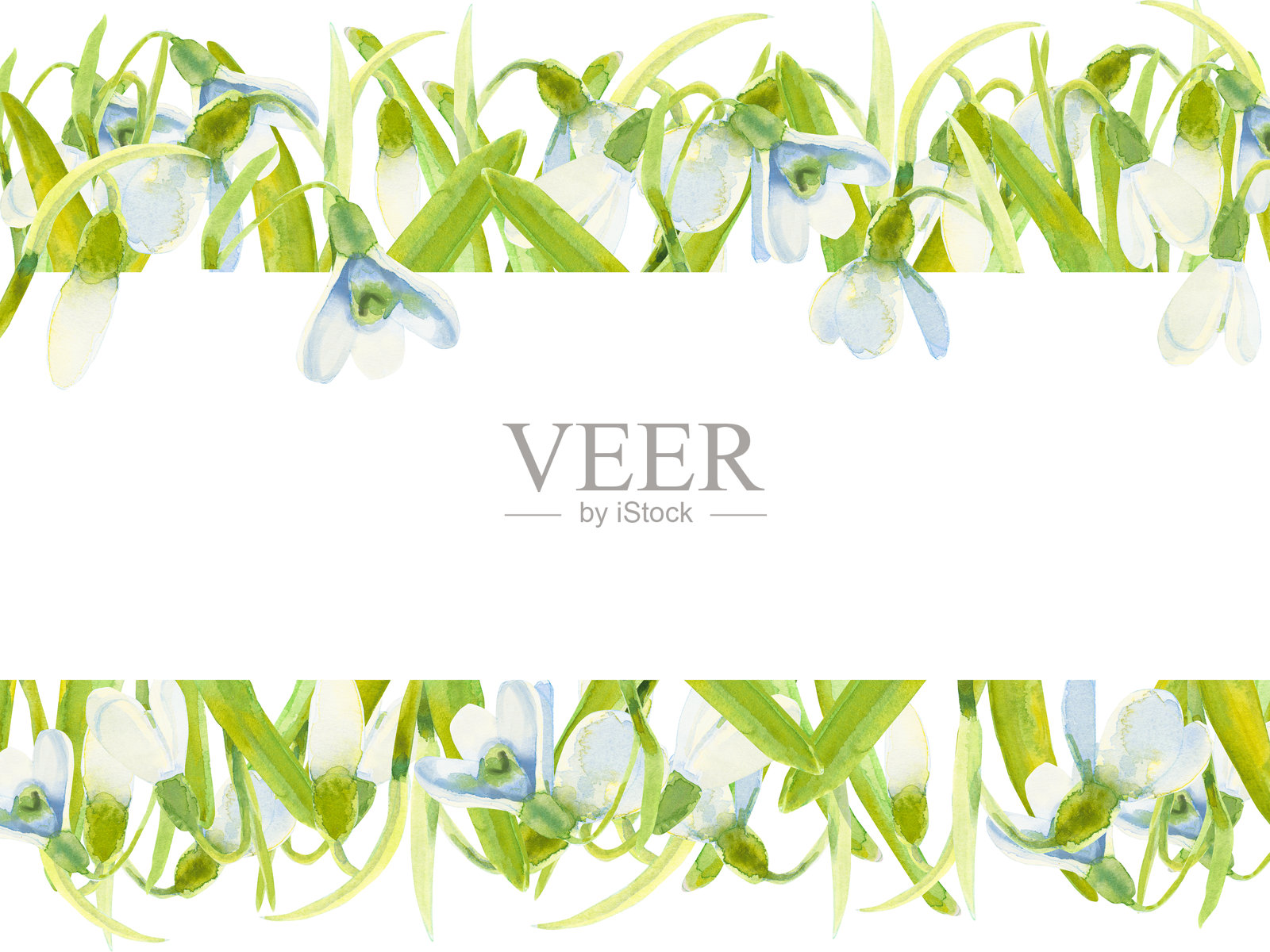手绘水彩雪花莲花和叶子的边框，背景为白色。可用于纺织品、剪贴簿设计、横幅、贺卡和邀请函。插画图片素材