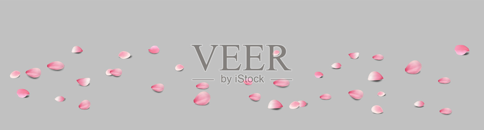 玫瑰花瓣或樱花瓣将落在抽象花卉背景上，搭配华丽的玫瑰花瓣贺卡设计插画图片素材