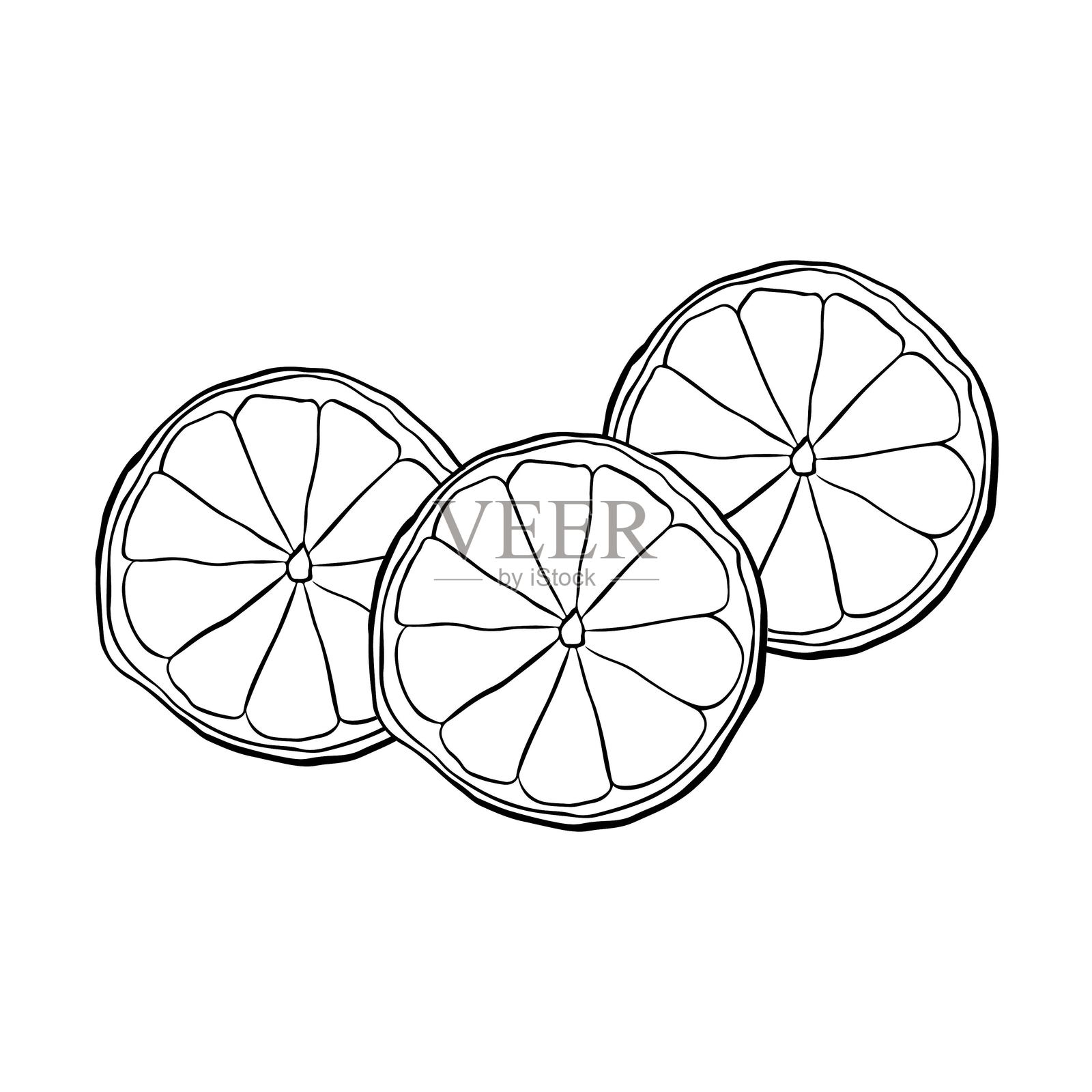 柠檬片构图。手绘线条图形插图，最佳适用于菜单和包装设计。插画图片素材