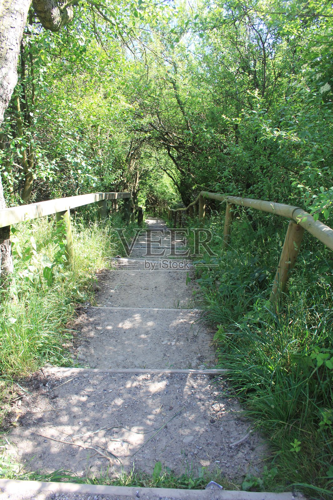 通往德国吕根岛阿尔科纳海滩的台阶照片摄影图片