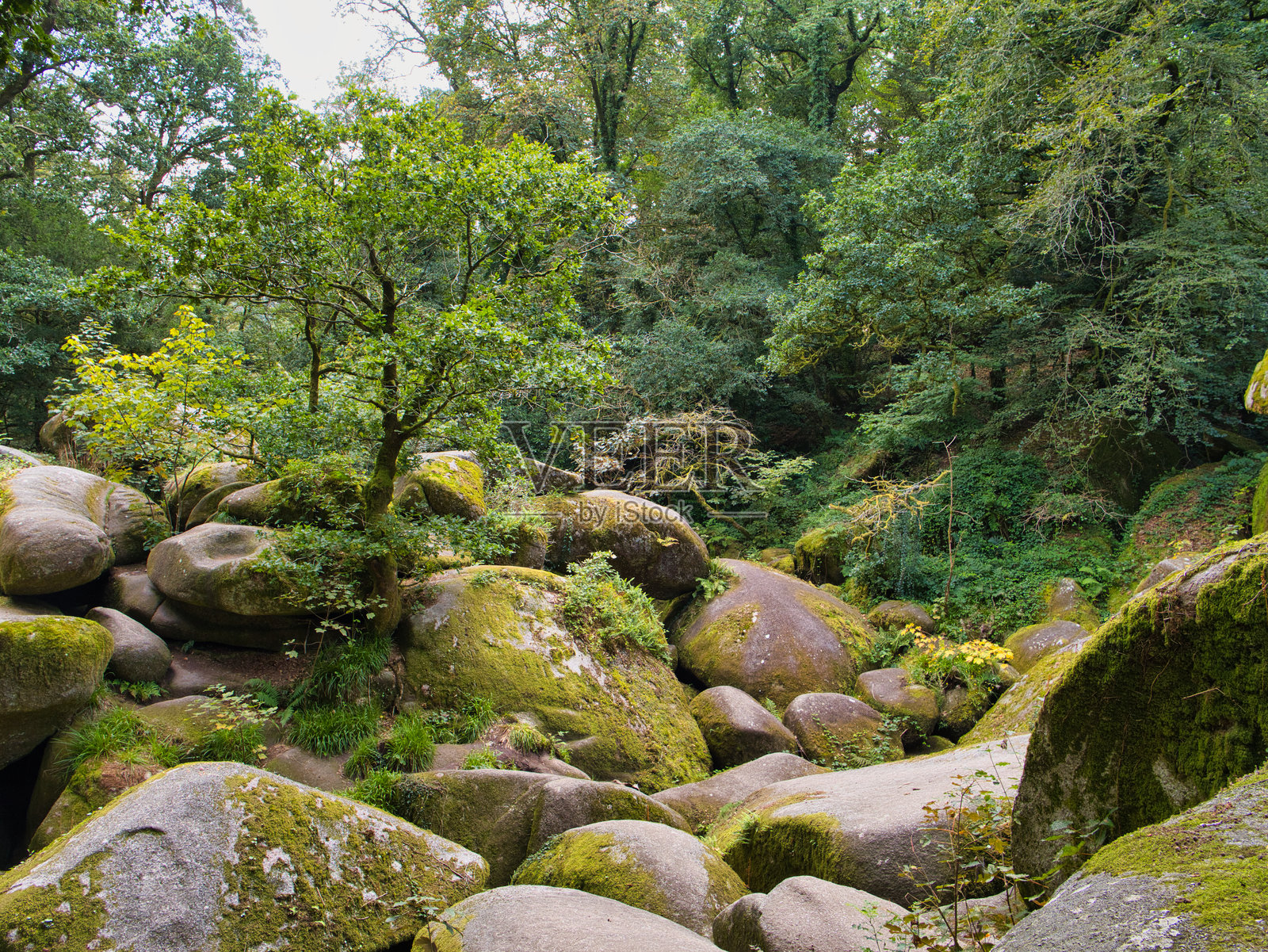 巨大的岩石在洛克混乱区照片摄影图片