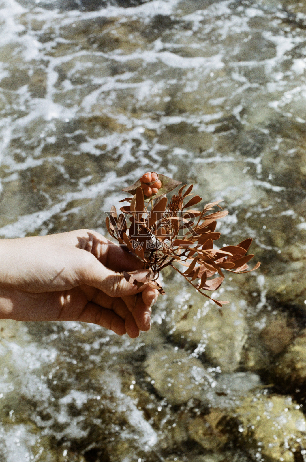陆地与海洋之间的微妙联系照片摄影图片