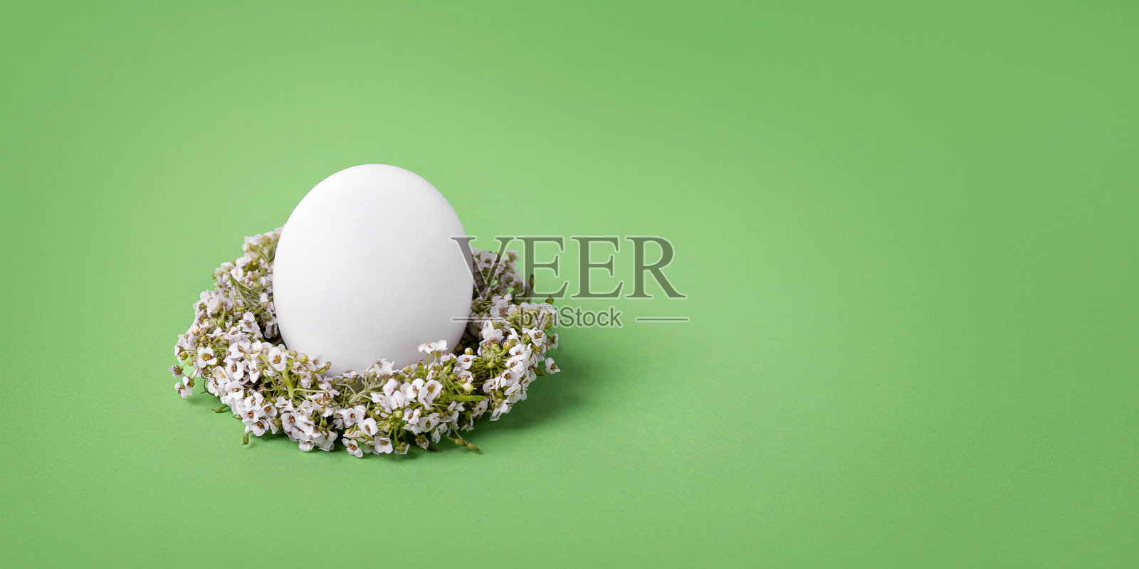 绿色背景上的复活节彩蛋照片摄影图片
