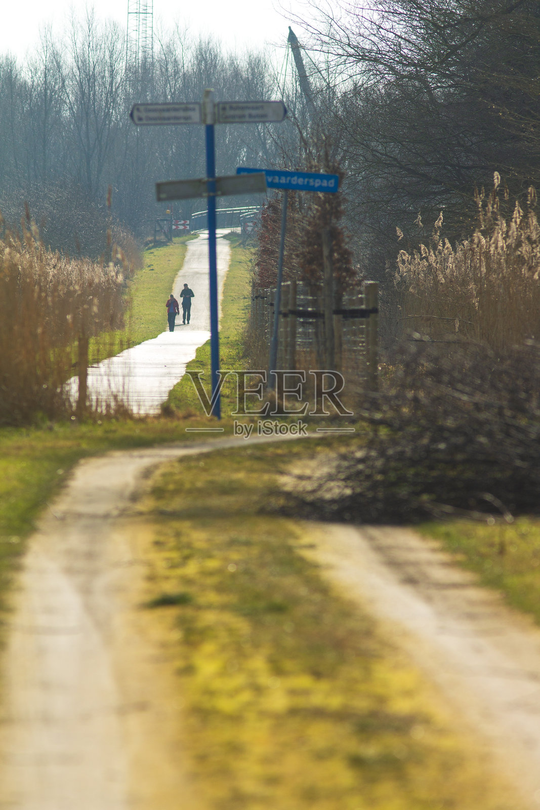 在广阔的自然保护区“德奥斯特瓦德斯普拉森”一起散步照片摄影图片