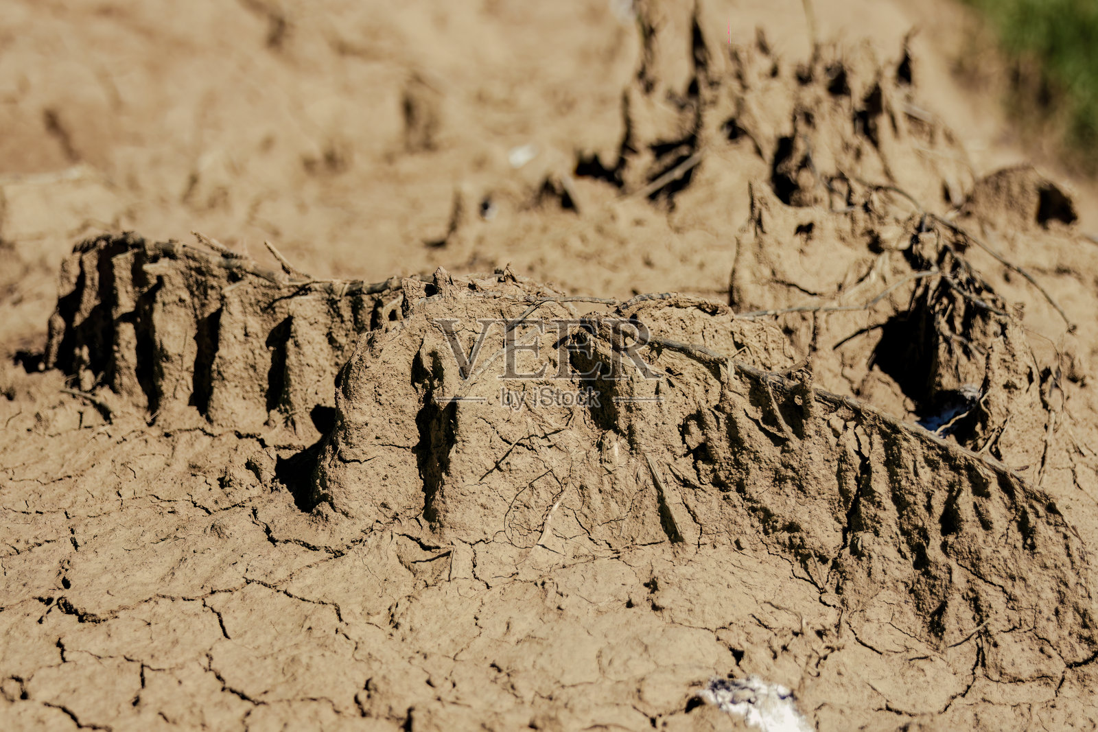 干燥土壤纹理的微距摄影照片摄影图片