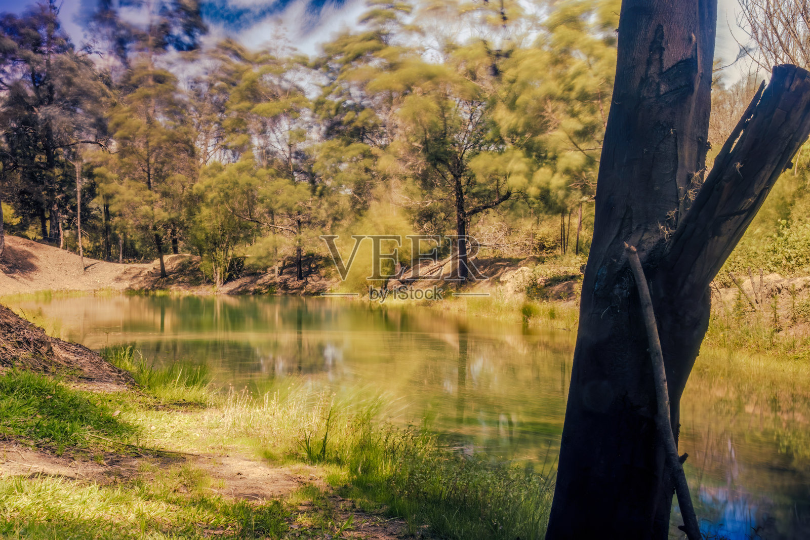长时间曝光摄影，展示被树木环绕的绿色水塘照片摄影图片