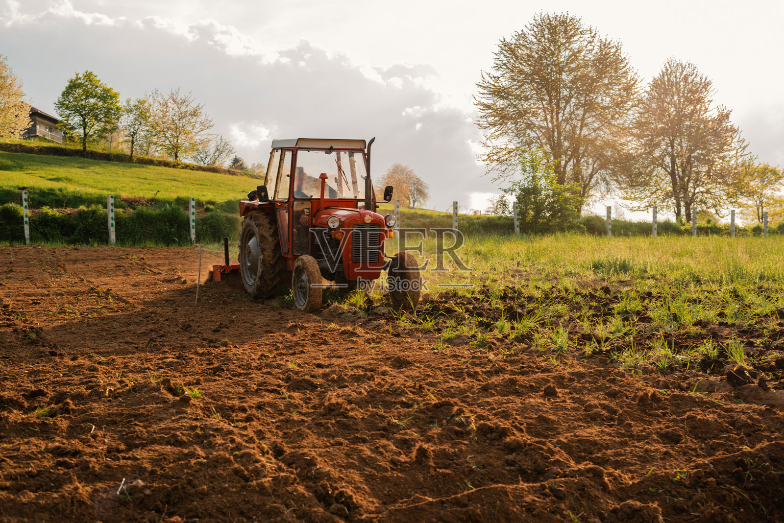春季农田里拖拉机播种作物。照片摄影图片
