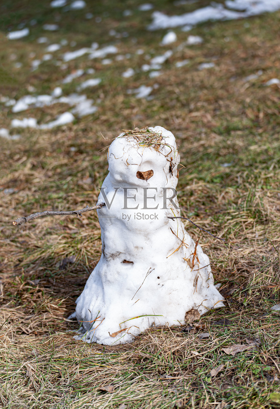 早春融化的雪人，竖版照片照片摄影图片