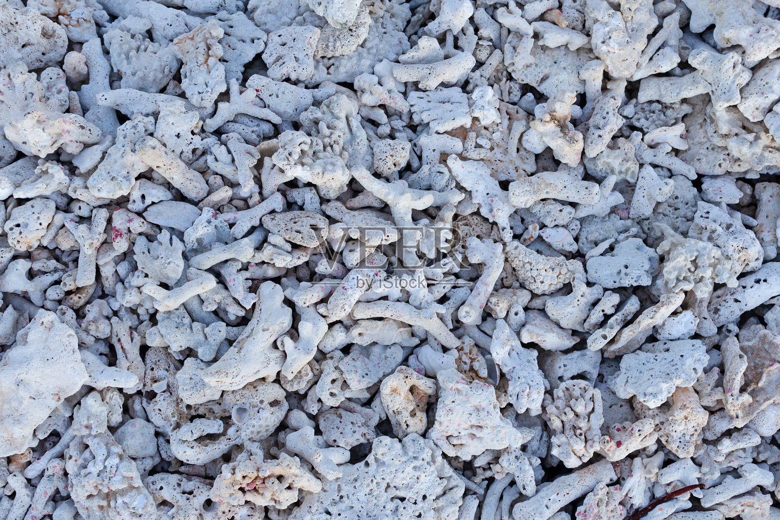 死去的珊瑚碎片躺在沙滩上，沙滩上的珊瑚礁，沙滩表面背景，沙滩纹理，岩石沙滩照片摄影图片