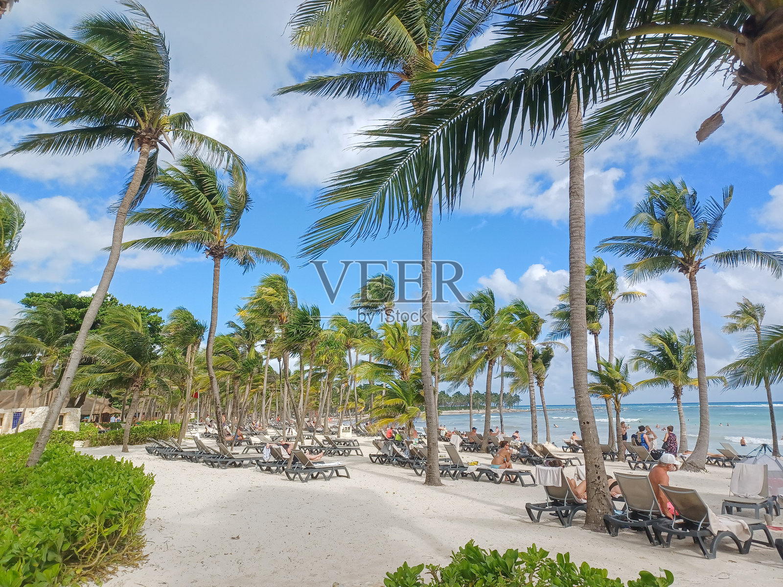巴尔塞罗玛雅酒店区域景观照片摄影图片