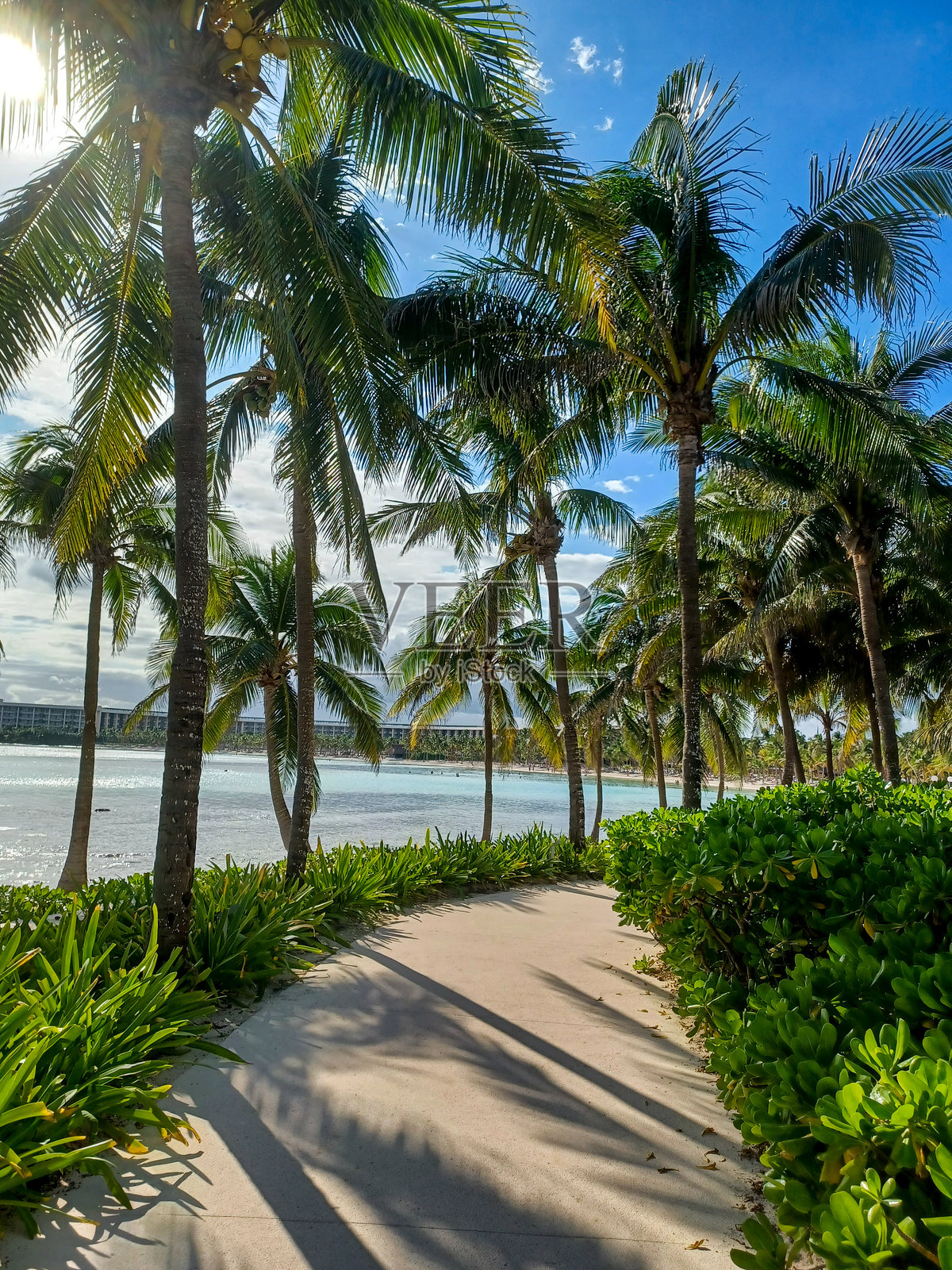 巴尔塞罗玛雅酒店区域景观照片摄影图片