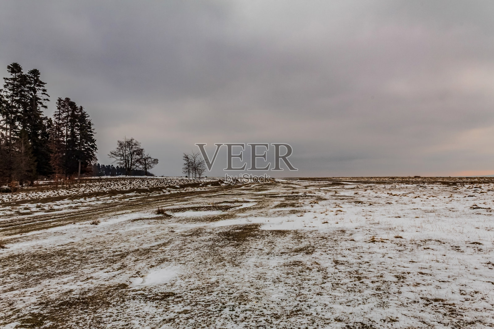 风景 - 森林 - 欧洲，罗马尼亚，苏恰瓦地区照片摄影图片