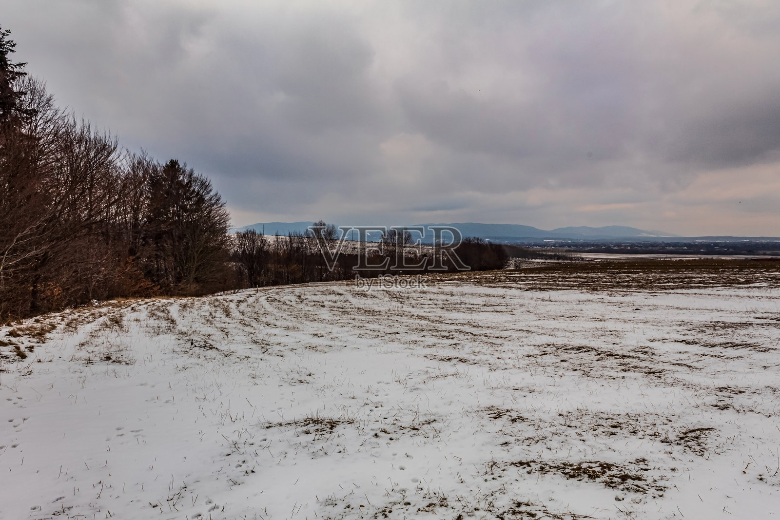 风景 - 森林 - 欧洲，罗马尼亚，苏恰瓦地区照片摄影图片