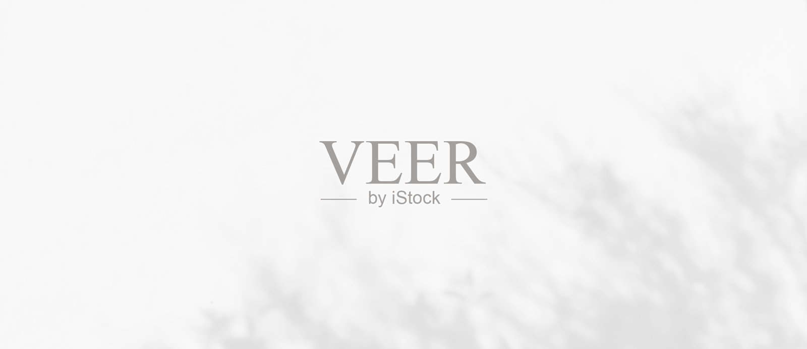 树叶的阴影覆盖在白色墙壁上。阳光在墙壁上投射的阴影效果。照片摄影图片