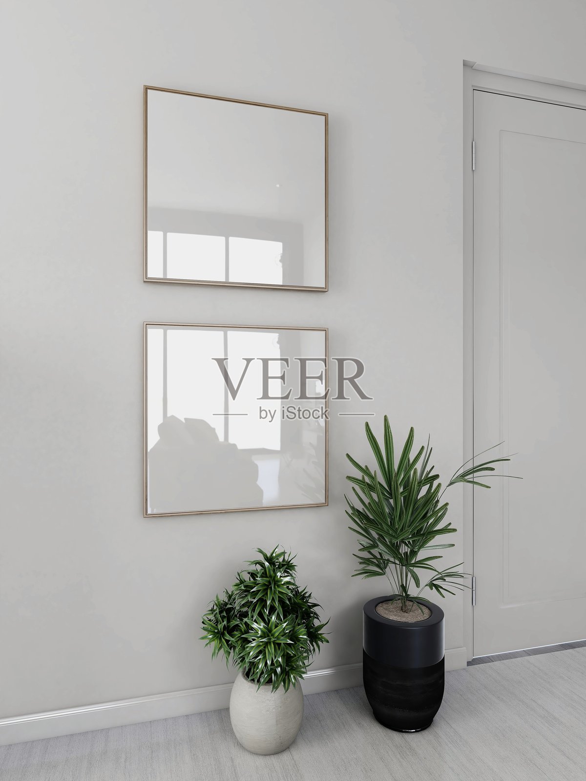房间里有两个空白的方框和装饰性的植物。照片摄影图片