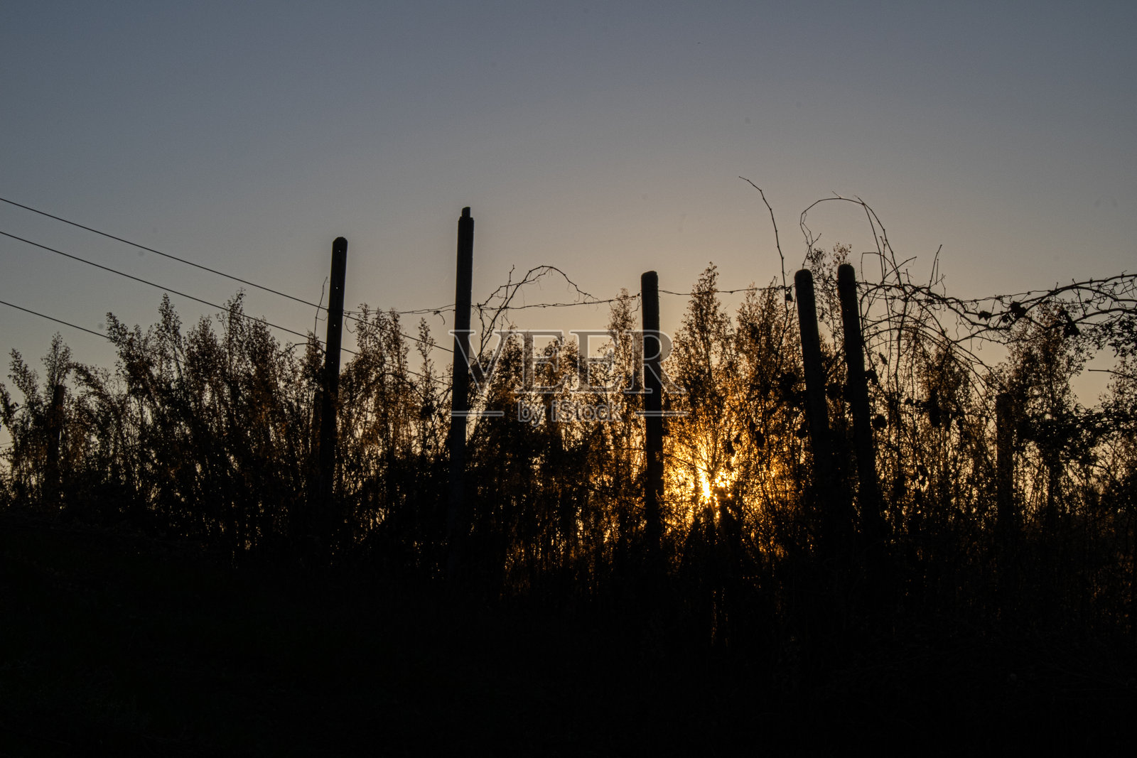半明半暗的轮廓行列照片摄影图片