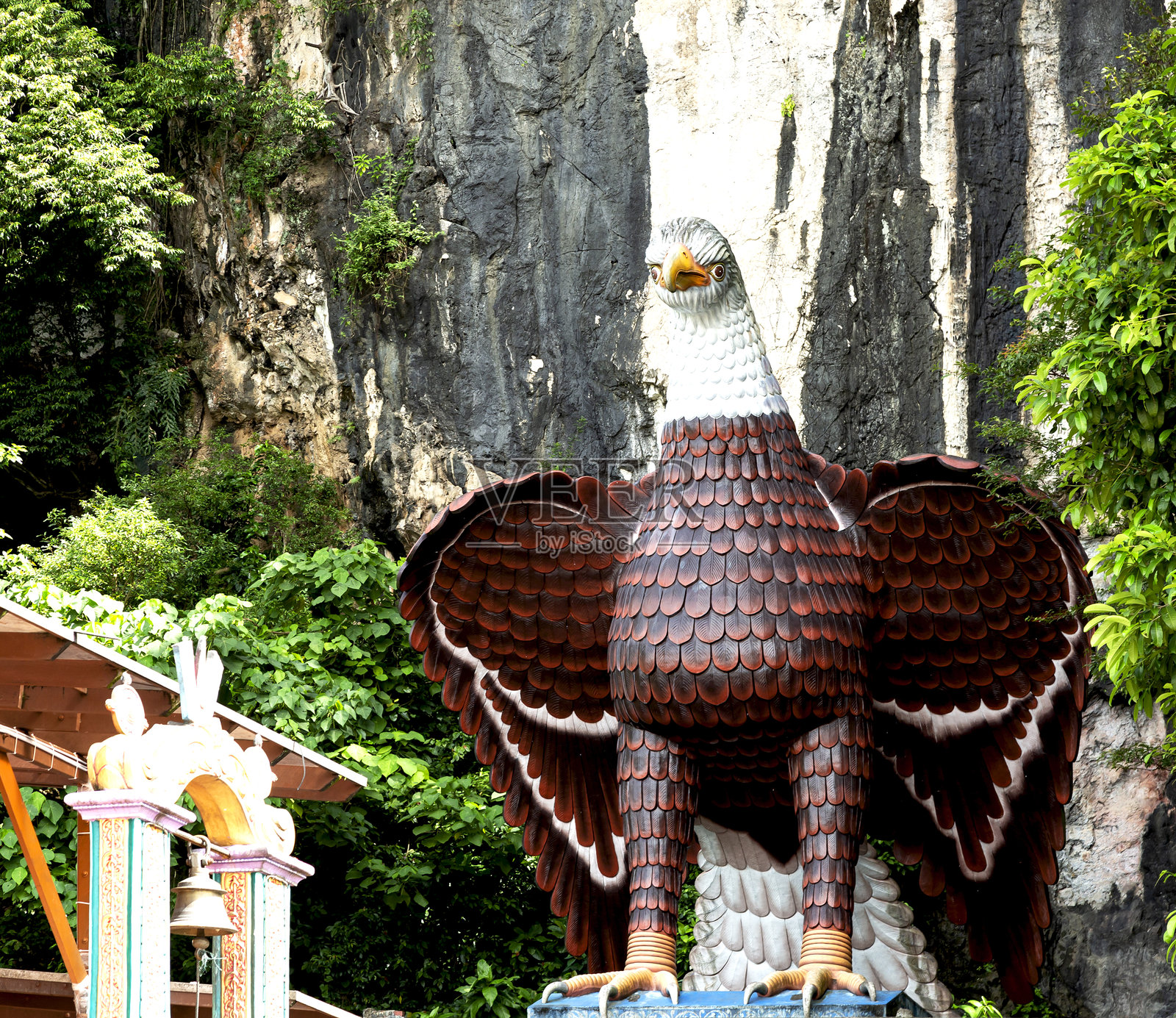 愤怒的鹰在山下照片摄影图片