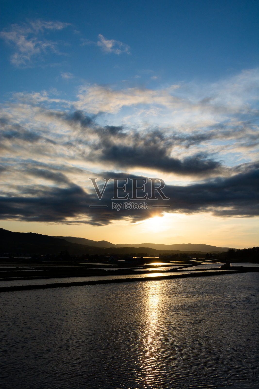 春季稻田，水面映照着落日的余晖照片摄影图片