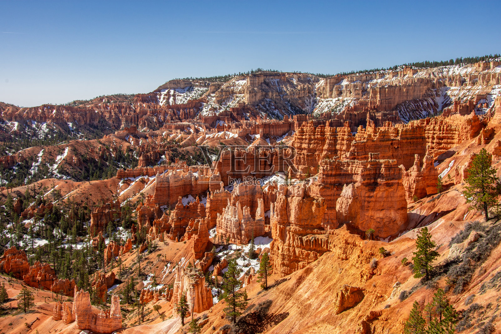 布莱斯峡谷国家公园红色岩石地貌和石柱的景观。照片摄影图片