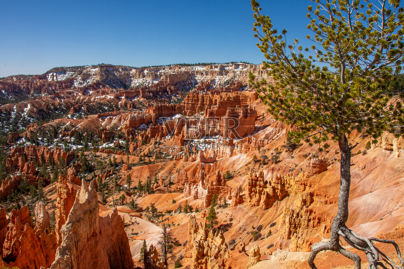 布莱斯峡谷国家公园红色岩石地貌和石柱的景观。照片摄影图片