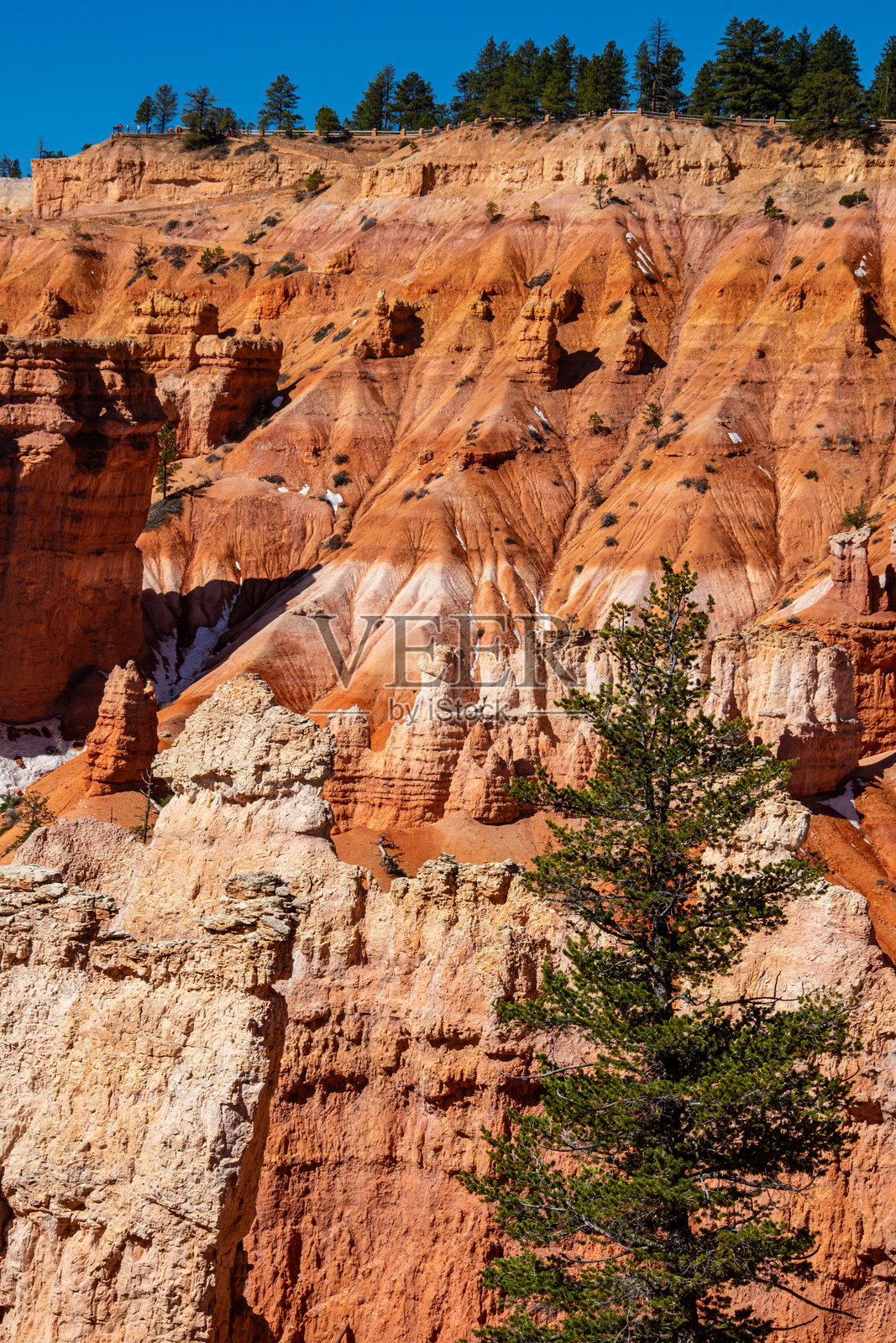 布莱斯峡谷国家公园红色岩石地貌和石柱的景观。照片摄影图片