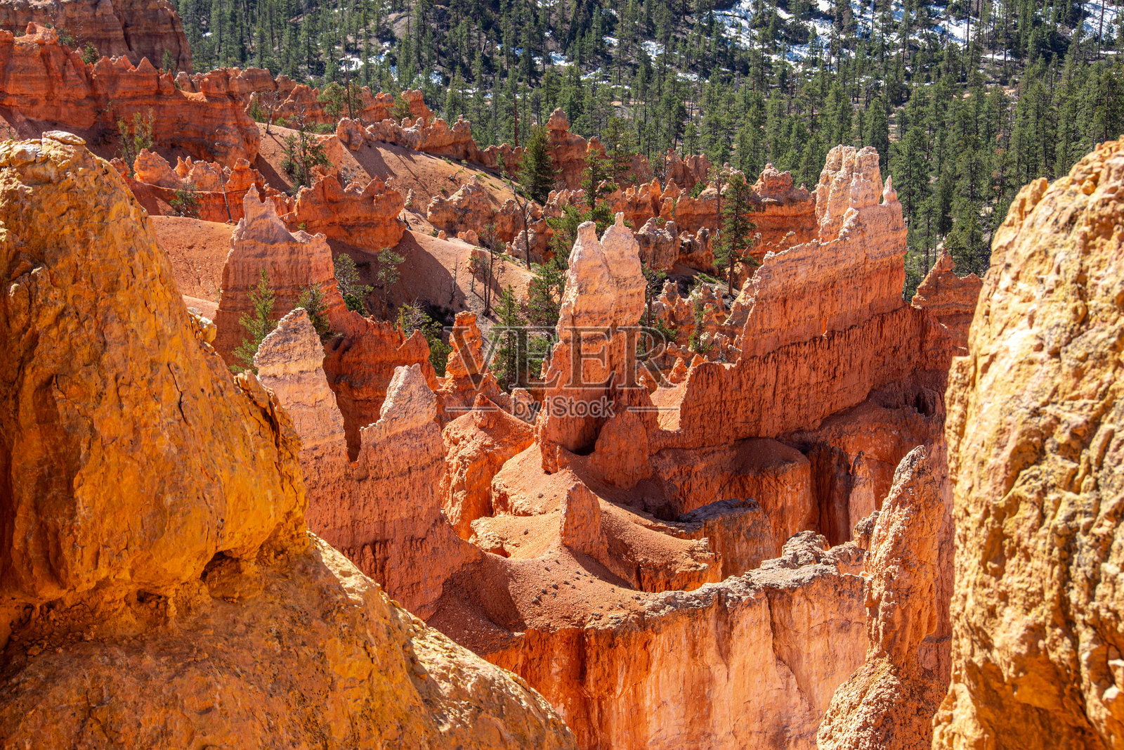 布莱斯峡谷国家公园红色岩石地貌和石柱的景观。照片摄影图片