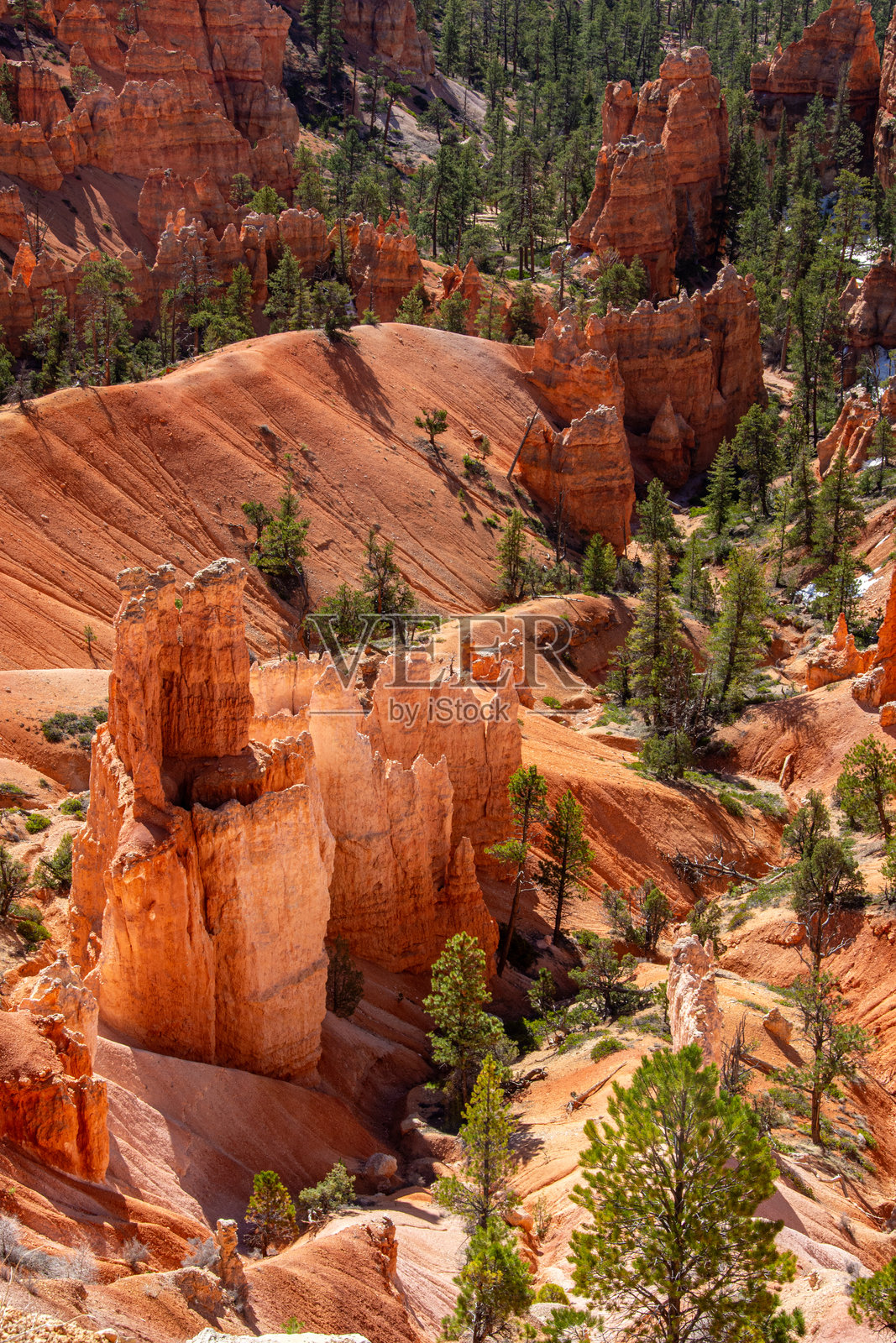 布莱斯峡谷国家公园红色岩石地貌和石柱的景观。照片摄影图片