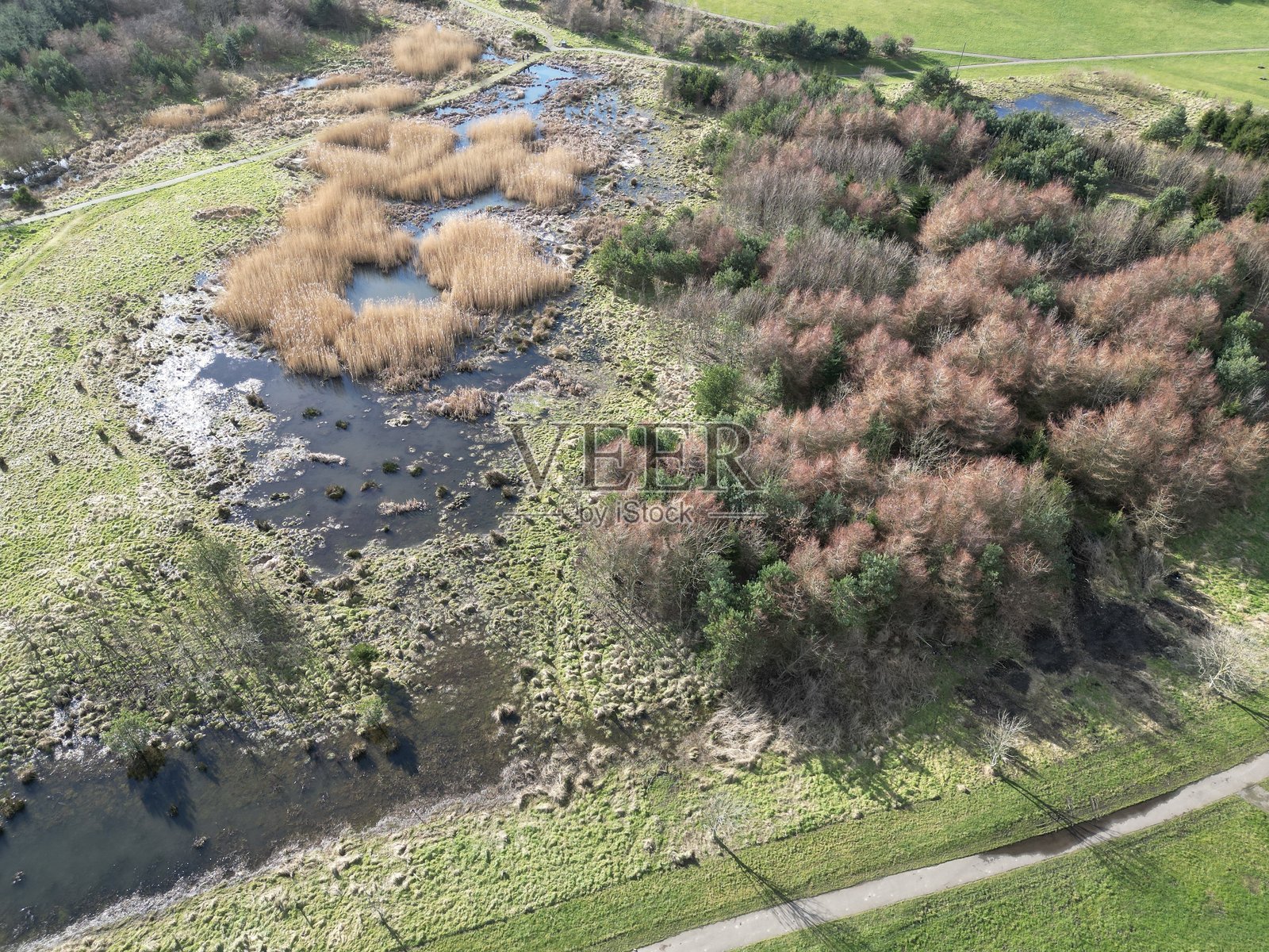 圣菲提克斯社区公园照片摄影图片