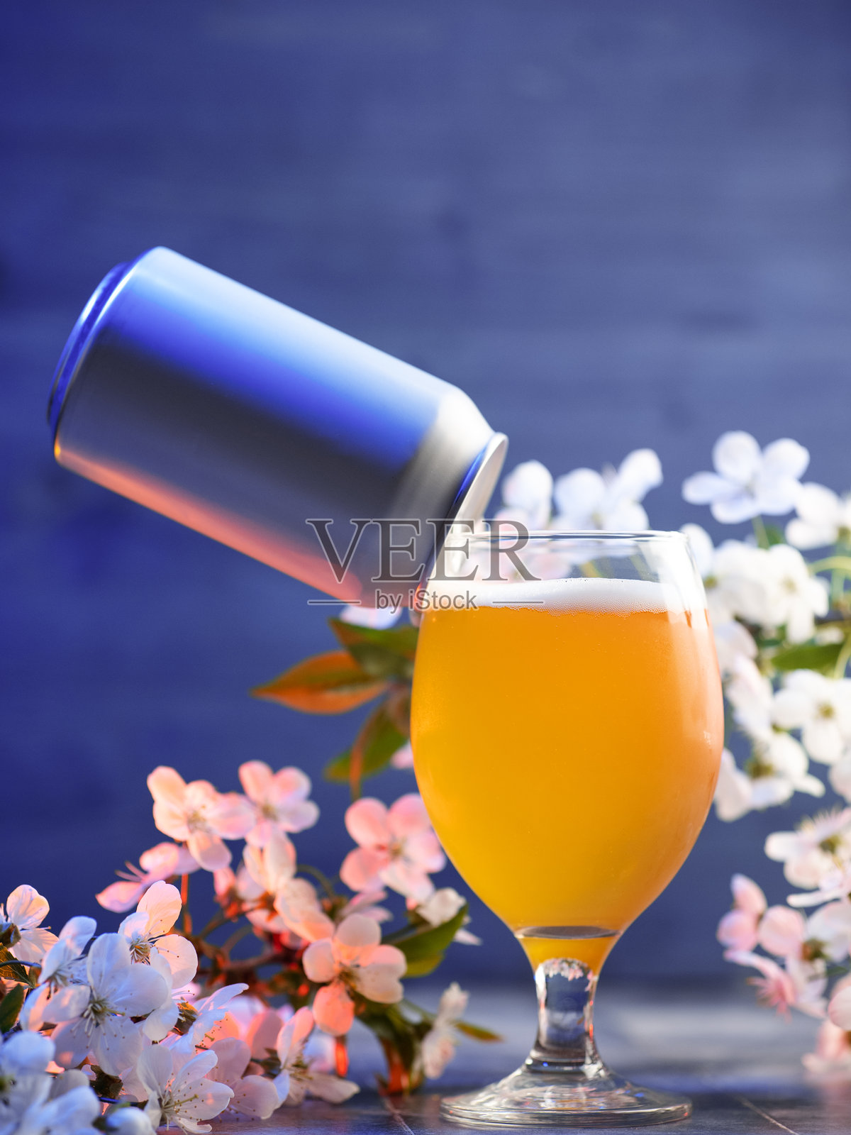 春季手工啤酒杯，盛开的白色樱花。蓝色背景，留有空白空间。照片摄影图片