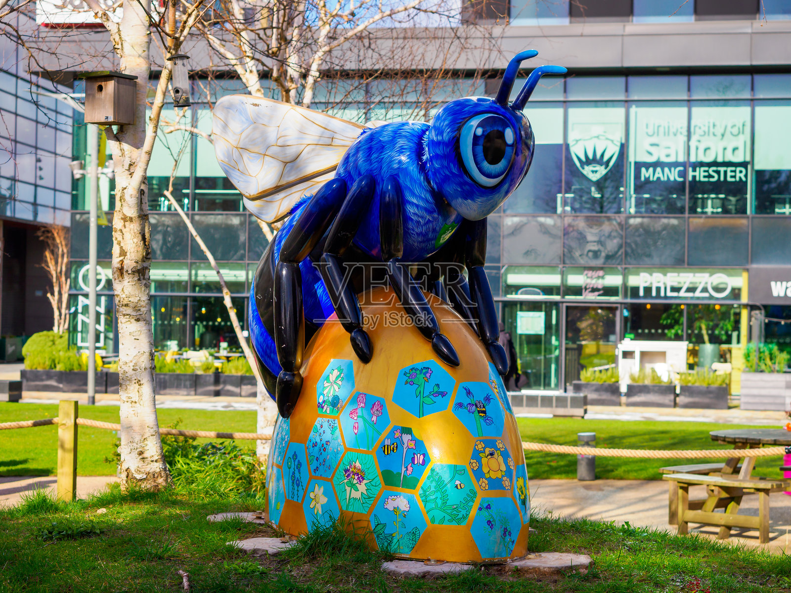 大学校园花园中的生动蜜蜂雕塑。照片摄影图片