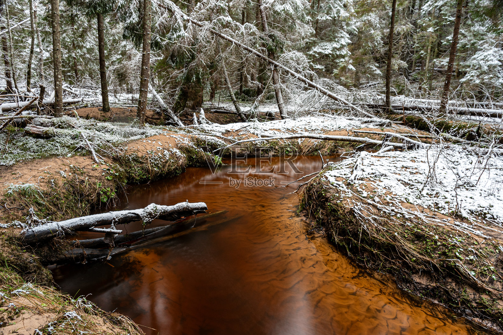 冬季风景，森林中神奇的雪覆盖树木，小而蜿蜒的野生河流，河上有许多倒下的树木。照片摄影图片