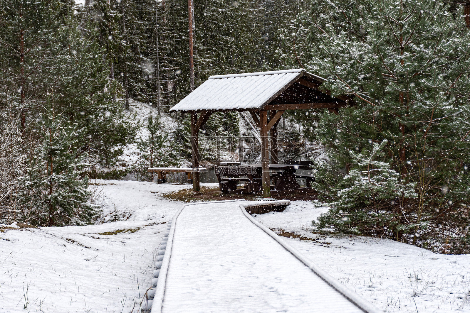 冬季风景，湖泊、神奇的雪覆盖树木和湖面倒影，迷人的冬日。照片摄影图片